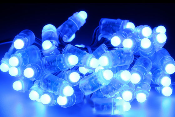 Luci impermeabili della corda principali Rgb 0.2W di IP67 12v 9mm