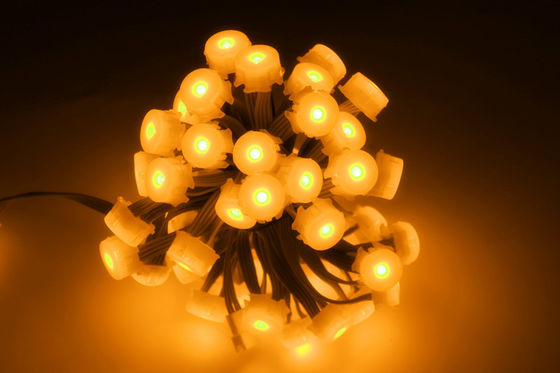 Pixel impermeabile di colore pieno 0.3W 5V IP65 20MM LED