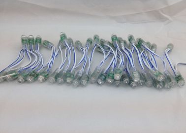 Il pixel blu della catena di colore verde LED si accende con 3 anni approvazione CE/di garanzia