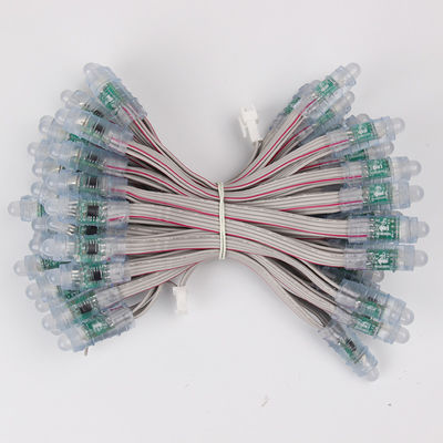 Impermeabili principali di RGB della luce del pixel del certificato WS2811 1903 della Banca dei Regolamenti Internazionali del fagiolo 12mm Rgb di miracolo principali mettono insieme 5V 12 la V 50pcs