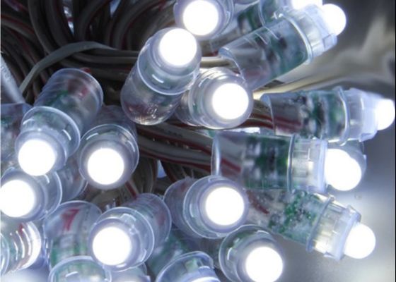 Il parco di divertimenti 12V 5V ha condotto il pixel 1903 della luce 0.3W RGB WS2811 Digital del pixel per il Natale