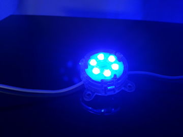 Luce a colori del pixel di CC 24V RGB LED per l'insegna del LED, pixel di 12mm LED