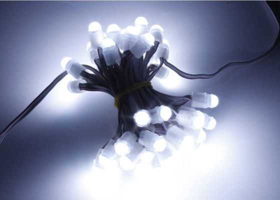 Il pixel del punto del fagiolo 0.2w 16lm LED di miracolo accende 9mm 12v IP67