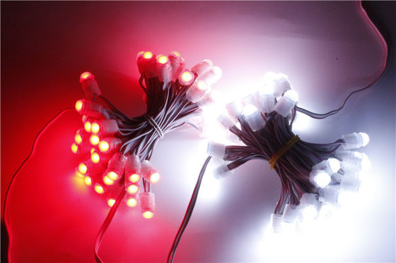 Il pixel impermeabile LED di SMD2025 12V IP67 accende 0.15W 9mm