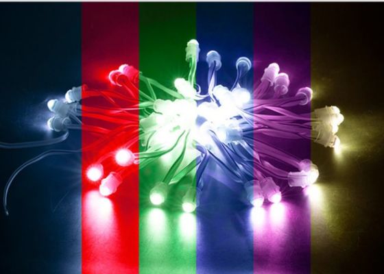 modulo impermeabile 9mm 12v SMD2025 del pixel del fagiolo 0.2W 23LM SMD LED di miracolo
