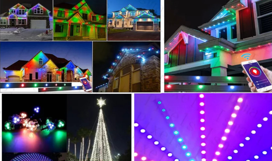 2904 RGBW hanno condotto la corda impermeabile all'aperto leggera 1903 della luce del punto IP67 il RGB LED